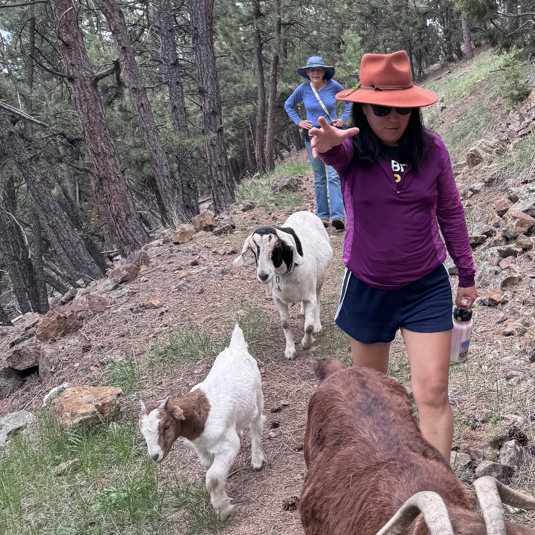 Walks & Hikes